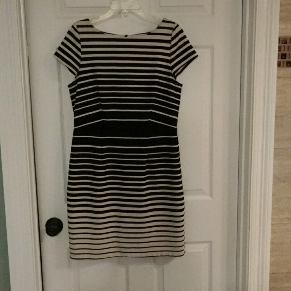 Black and White Loft Cotton Dress